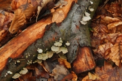 2010-03-28-1