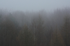 2010-03-28-3