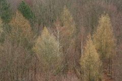 2010-03-28-5