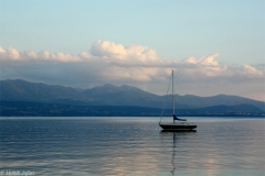 2010-05-31-1