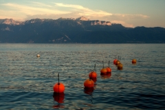 2010-06-27-1