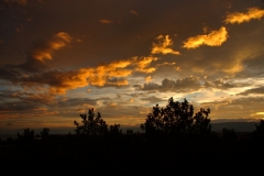 2010-07-22-1