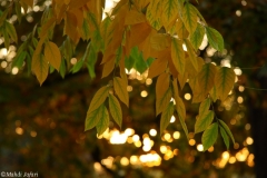2010-10-06-4