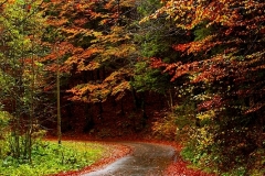 2010-10-17-1
