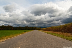 2010-10-17-3