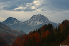 2010-10-31-2