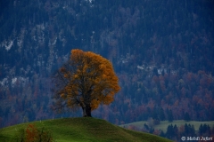 2010-10-31-3