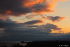 2011-03-19-1