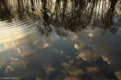 2011-03-25-1