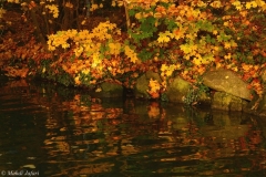 2011-11-06-1