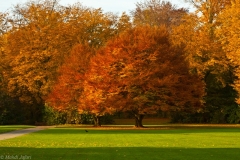 2011-11-06-4