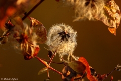 2011-11-12-1